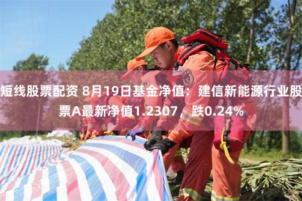 短线股票配资 8月19日基金净值：建信新能源行业股票A最新净值1.2307，跌0.24%