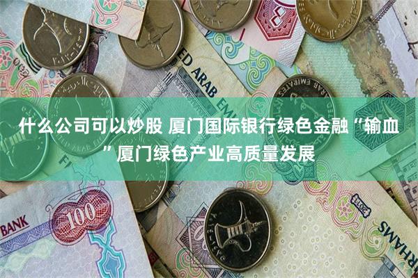 什么公司可以炒股 厦门国际银行绿色金融“输血”厦门绿色产业高质量发展