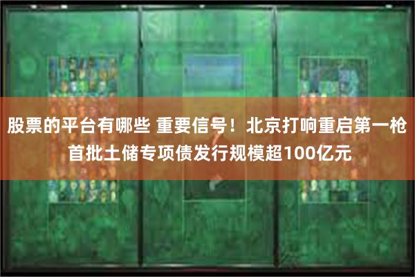 股票的平台有哪些 重要信号！北京打响重启第一枪 首批土储专项债发行规模超100亿元