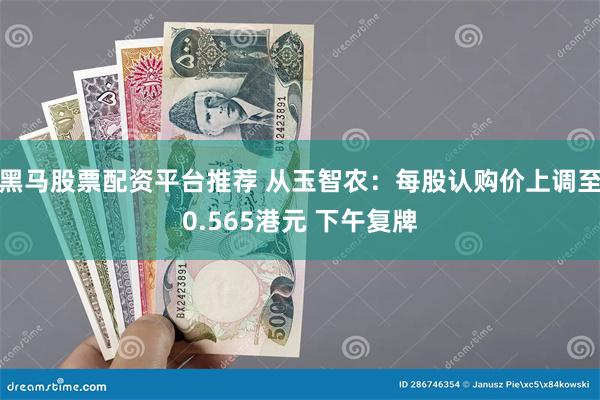 黑马股票配资平台推荐 从玉智农：每股认购价上调至0.565港元 下午复牌