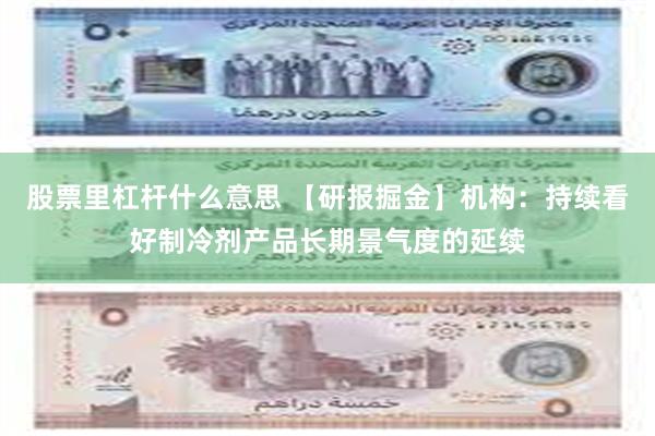 股票里杠杆什么意思 【研报掘金】机构：持续看好制冷剂产品长期景气度的延续