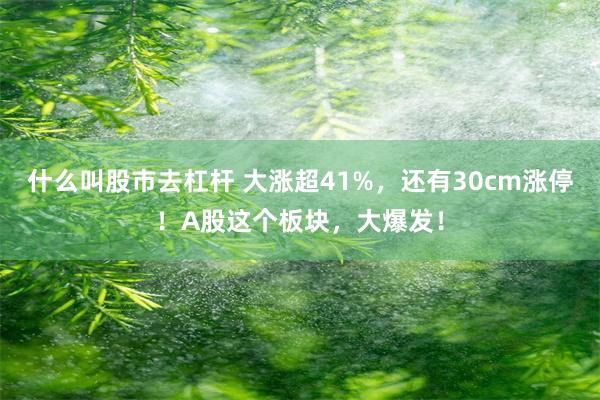 什么叫股市去杠杆 大涨超41%，还有30cm涨停！A股这个板块，大爆发！